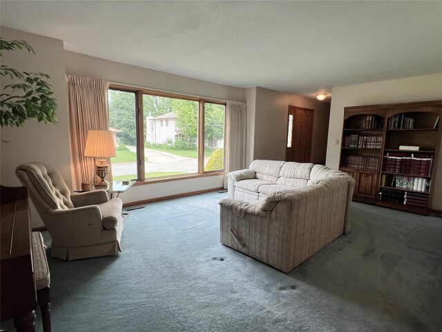 210 E 24th St N, Newton, IA 50208 - view of carpeted living area