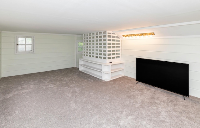 216 56th St, Des Moines, IA 50312 - unfurnished living room with carpet flooring and wooden walls