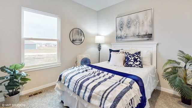1001 NE 12th St, Grimes, IA 50111 - bedroom with carpet and baseboards