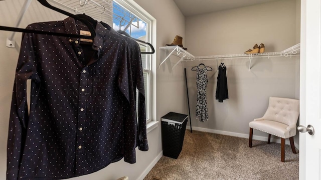 1004 NE 12th St, Grimes, IA 50111 - spacious closet featuring carpet