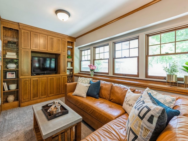 912 45th St, Des Moines, IA 50312 - carpeted living room with crown molding