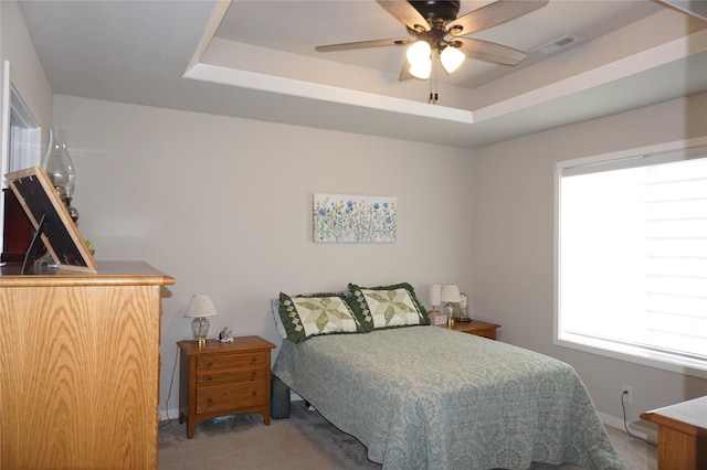 507 W Madison St, Winterset, IA 50273 - carpeted bedroom featuring multiple windows, a tray ceiling, and baseboards