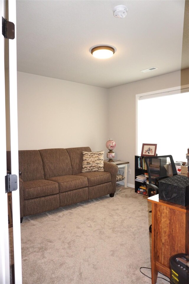 507 W Madison St, Winterset, IA 50273 - living area with carpet floors