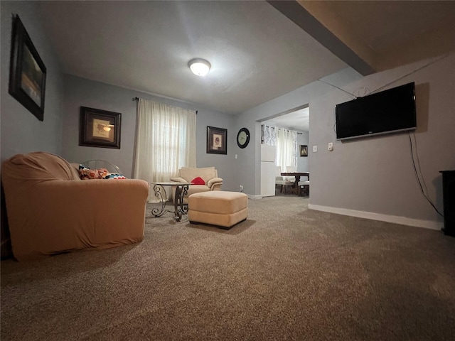 205 N 2nd St, Mystic, IA 52574 - living room with carpet flooring, plenty of natural light, and baseboards