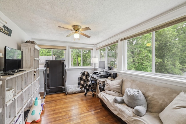 2419 30th St, Des Moines, IA 50310 - sunroom / solarium with a textured ceiling and wood finished floors