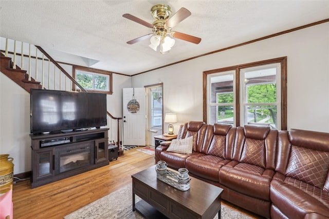 2419 30th St, Des Moines, IA 50310 - living area with stairway, light wood-style flooring, ceiling fan, crown molding, and a textured ceiling