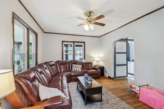 2419 30th St, Des Moines, IA 50310 - living area with arched walkways, plenty of natural light, ceiling fan, wood finished floors, and crown molding