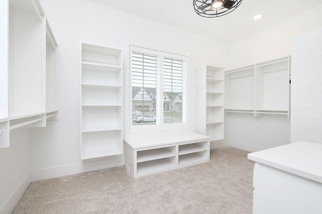 8019 NW 106th Ct, Johnston, IA 50131 - walk in closet with light carpet