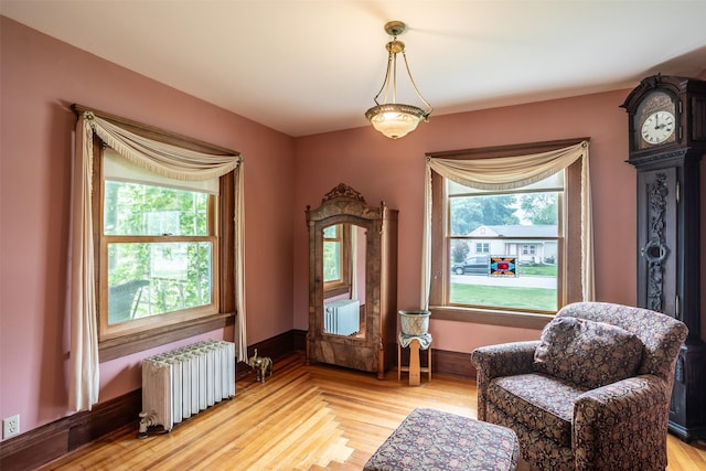 509 2nd Ave, Slater, IA 50244 - sitting room featuring radiator heating unit and plenty of natural light