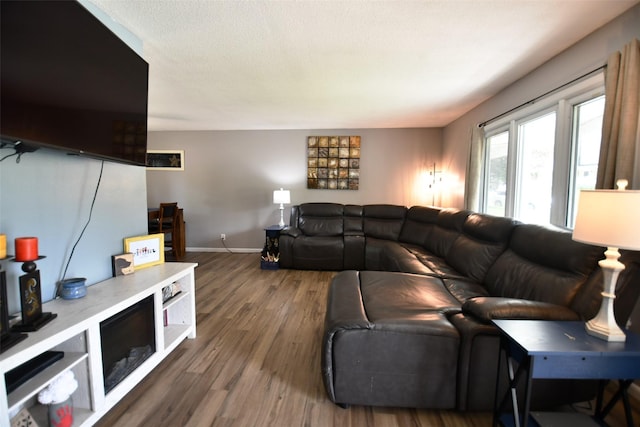 310 Fleming Rd, Carlisle, IA 50047 - living area featuring wood finished floors and baseboards