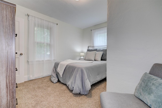 2403 E 14th St, Des Moines, IA 50316 - view of carpeted bedroom