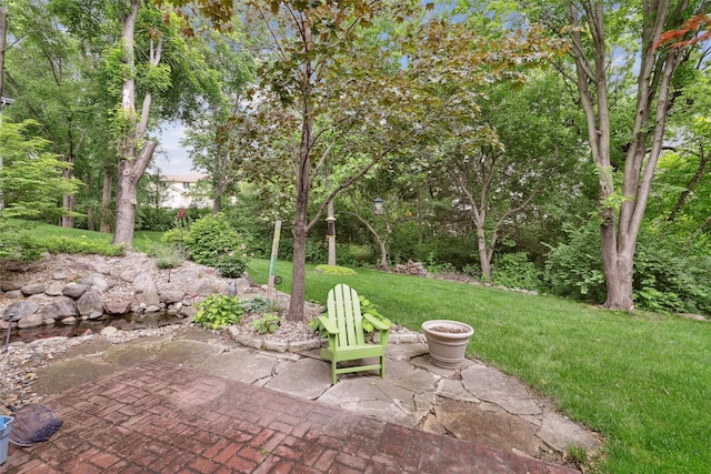 6909 Capitol View Ct, Johnston, IA 50131 - view of patio