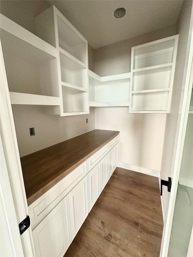 1405 NW Bull Run Ct, Waukee, IA 50263 - walk in closet with dark wood-style flooring