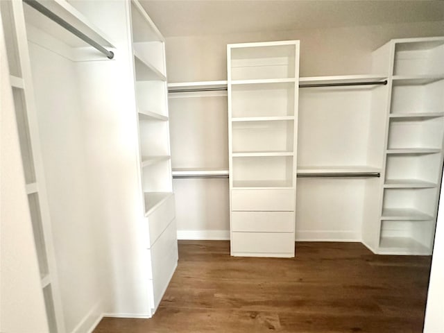 1405 NW Bull Run Ct, Waukee, IA 50263 - spacious closet featuring dark wood-style flooring