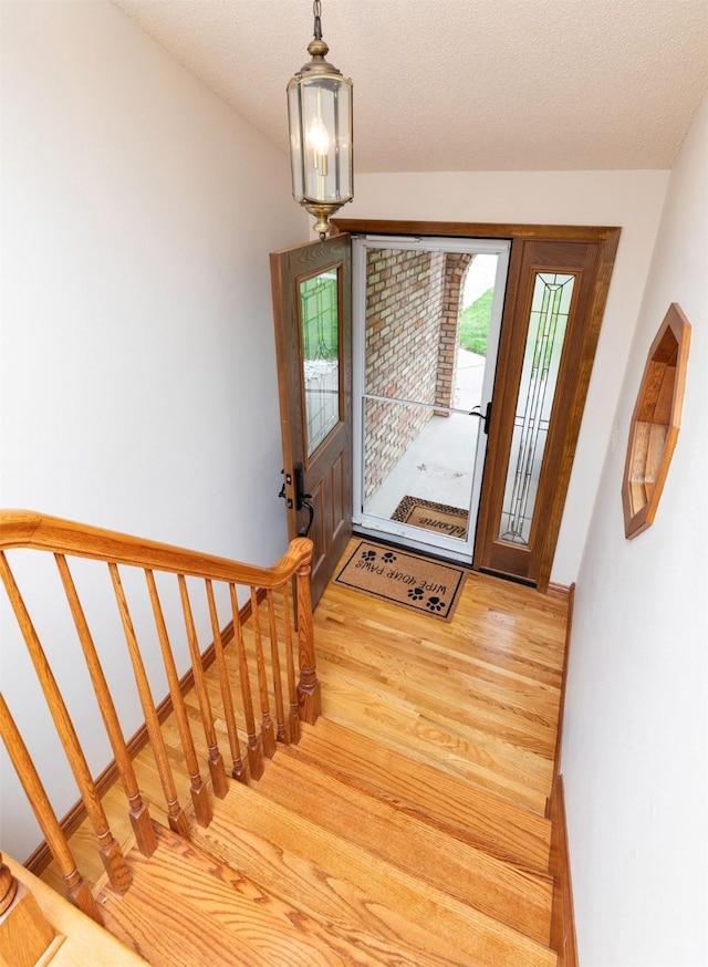 1113 SE Rio Dr, Ankeny, IA 50021 - photo 3