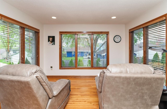 1113 SE Rio Dr, Ankeny, IA 50021 - photo 11