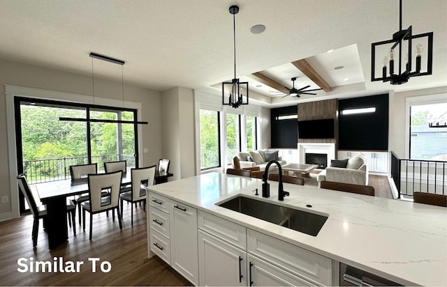 1410 NW Bull Run Ct, Waukee, IA 50263 - kitchen featuring a sink, a fireplace, white cabinets, dark wood-style flooring, and light stone countertops