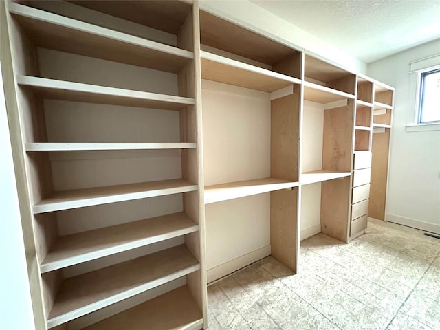 1410 NW Bull Run Ct, Waukee, IA 50263 - view of spacious closet