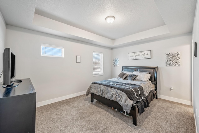 714 Umbra Pl, Norwalk, IA 50211 - carpeted bedroom featuring a tray ceiling, baseboards, and a textured ceiling