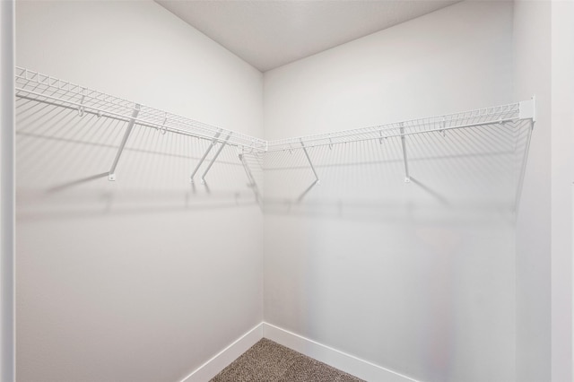 714 Umbra Pl, Norwalk, IA 50211 - spacious closet featuring carpet flooring