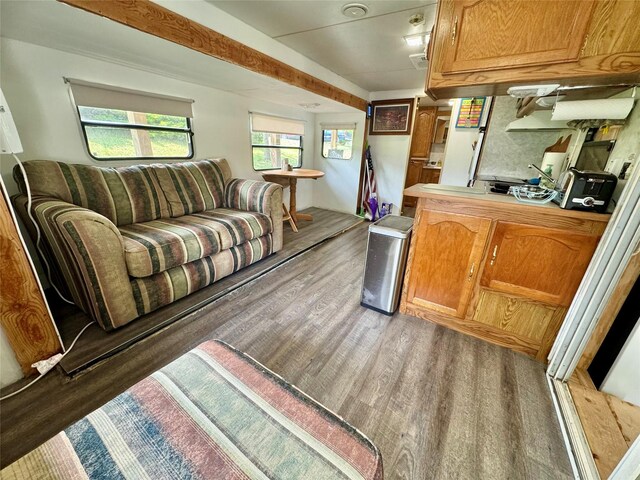 3170 Morman Trl, Ellston, IA 50074 - living area featuring light wood-style flooring