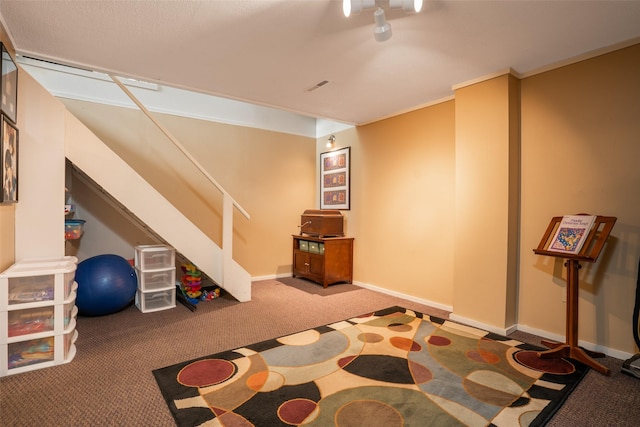 2403 Guenever Ct, Altoona, IA 50009 - workout room featuring carpet and baseboards