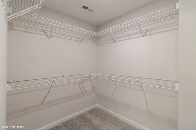3010 6th Ave SW, Altoona, IA 50009 - spacious closet with carpet