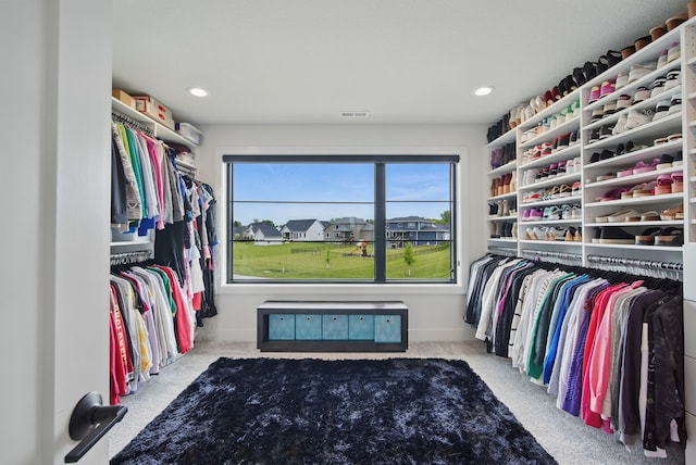 1004 NW Hugg Dr, Polk City, IA 50226 - walk in closet featuring carpet