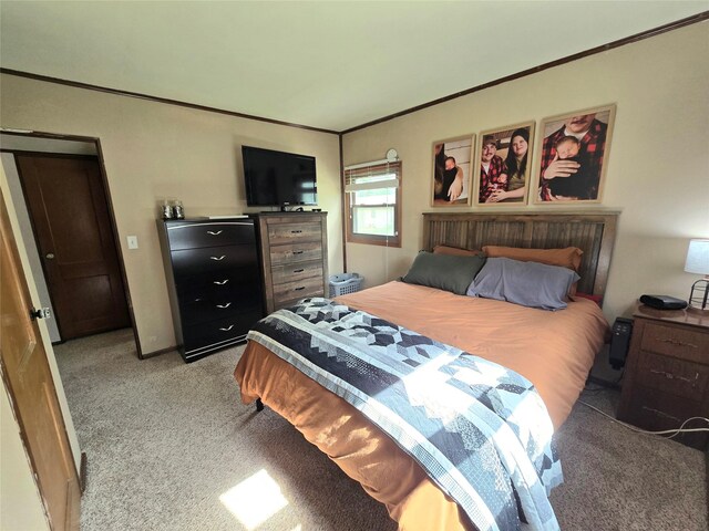 1011 S 9th St, Oskaloosa, IA 52577 - photo 9
