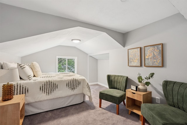 827 40th Pl, Des Moines, IA 50312 - carpeted bedroom with vaulted ceiling and baseboards