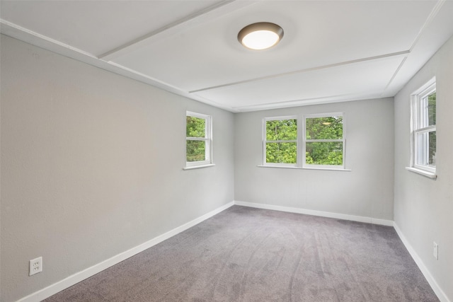 827 40th Pl, Des Moines, IA 50312 - spare room with carpet floors