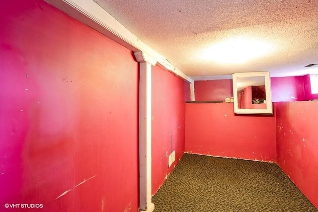 2638 Capitol Ave, Des Moines, IA 50317 - finished below grade area with a textured ceiling and carpet