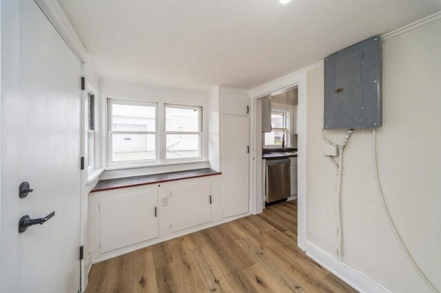 212 Nile Kinnick Dr N, Adel, IA 50003 - kitchen with electric panel, stainless steel dishwasher, light wood-style floors, white cabinets, and a sink