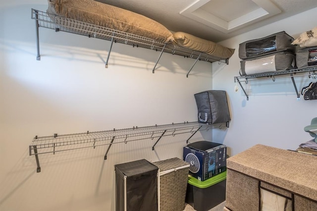 4724 162nd St, Urbandale, IA 50323 - view of walk in closet
