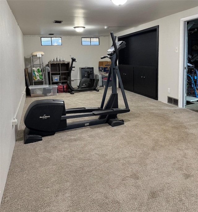 1541 42nd St, Des Moines, IA 50311 - exercise area featuring carpet