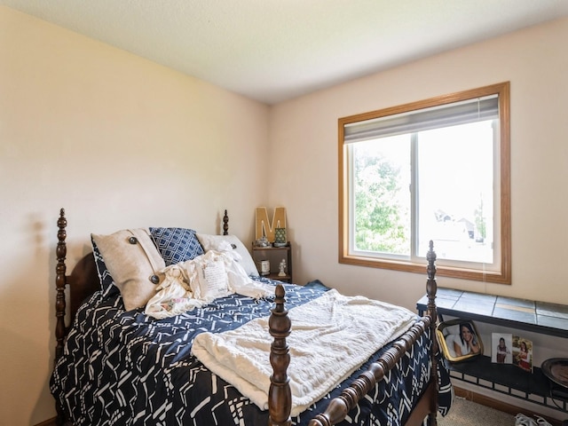 5213 SE 30th St, Des Moines, IA 50320 - view of bedroom