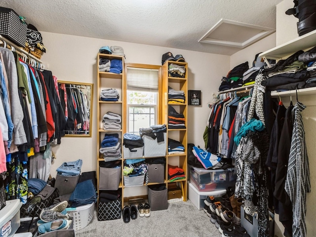 5213 SE 30th St, Des Moines, IA 50320 - walk in closet featuring attic access and carpet floors