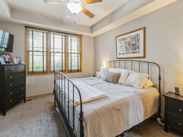 6818 Jules Verne Ct, Johnston, IA 50131 - bedroom with carpet floors, baseboards, a ceiling fan, and a tray ceiling