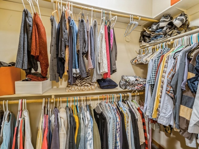 6818 Jules Verne Ct, Johnston, IA 50131 - view of walk in closet