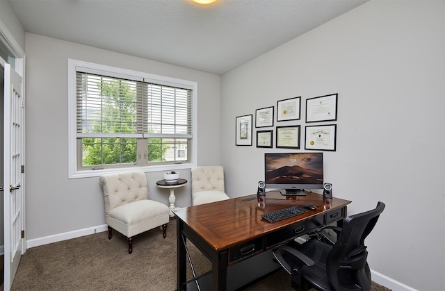 1880 Brodie St, Waukee, IA 50263 - carpeted office featuring baseboards