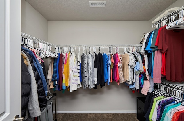 1880 Brodie St, Waukee, IA 50263 - walk in closet with carpet