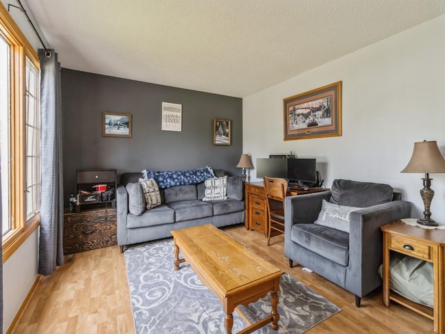1506 W 17th St S, Newton, IA 50208 - living area featuring light wood-style floors and a textured ceiling