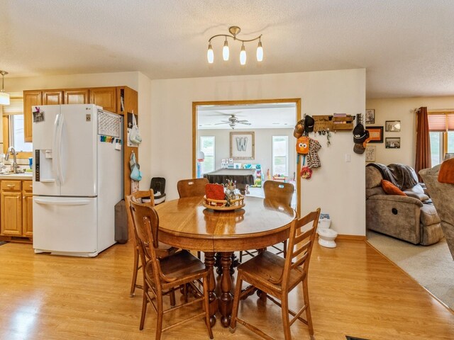1506 W 17th St S, Newton, IA 50208 - dining room with light wood finished floors, a textured ceiling, and ceiling fan