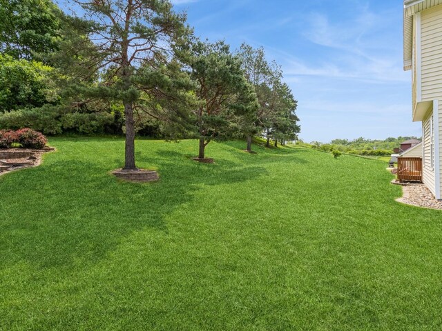 1506 W 17th St S, Newton, IA 50208 - view of grassy yard