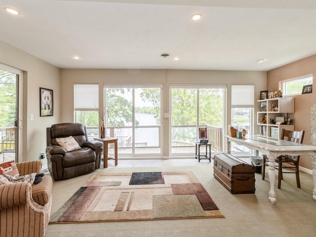 201 Cottage Ln, Montezuma, IA 50171 - living room with recessed lighting and light colored carpet