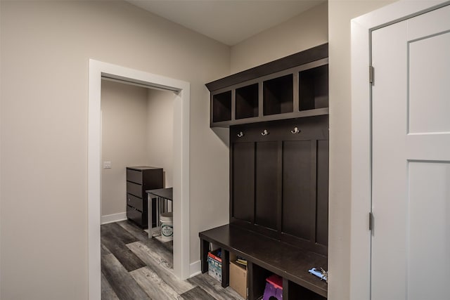3021 NE 17th St, Ankeny, IA 50021 - mudroom with dark wood-style floors and baseboards