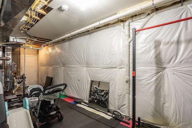 3021 NE 17th St, Ankeny, IA 50021 - view of exercise area
