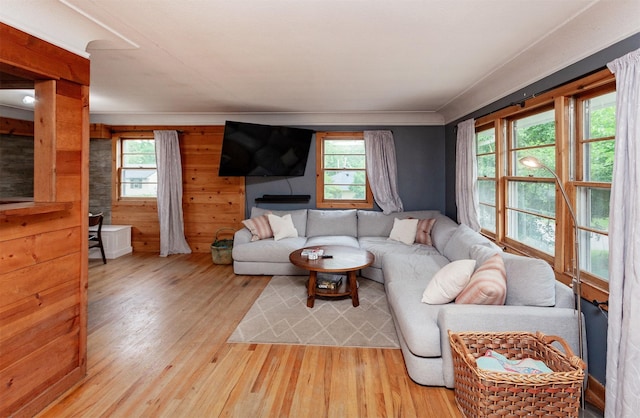 3020 62nd St, Des Moines, IA 50322 - living room featuring light wood-style floors and healthy amount of natural light