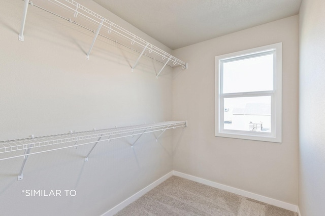 2516 NW Linwood Ct, Ankeny, IA 50023 - photo 22