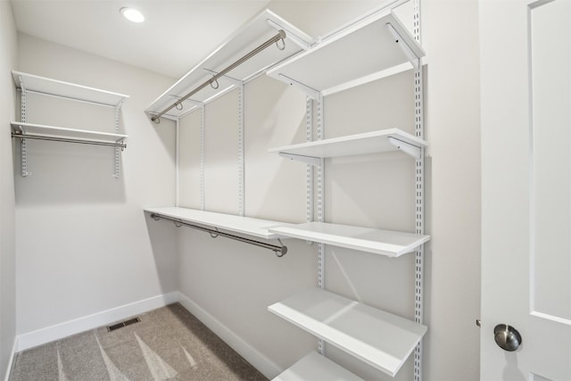 17829 Valley View Dr, Clive, IA 50325 - walk in closet featuring light carpet
